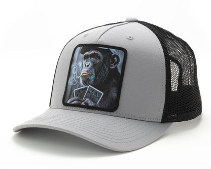 Monkeys Uncle